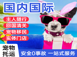 兴义万峰林航空货运国际宠物托运 【国